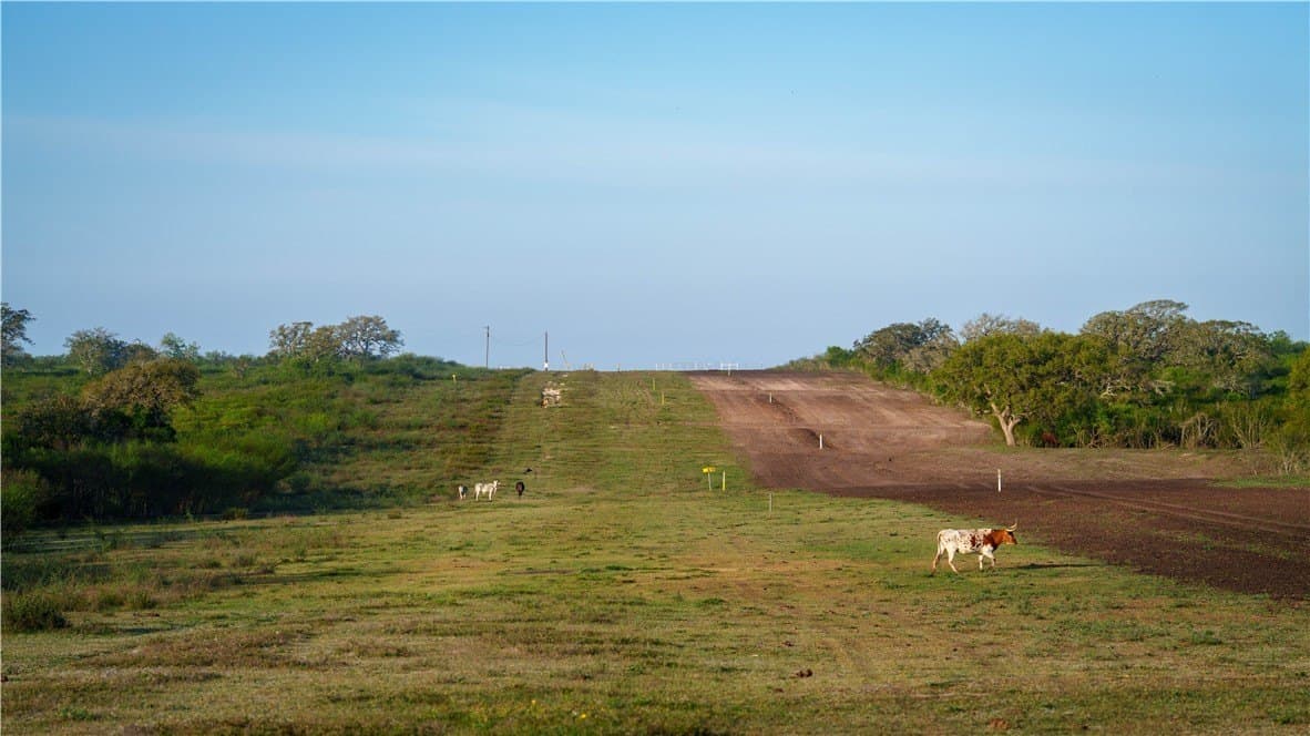 450 acres in Goliad County - photo 32