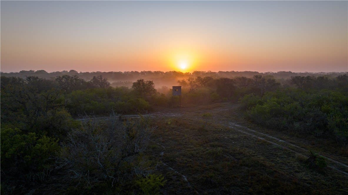 450 acres in Goliad County gallery image 2