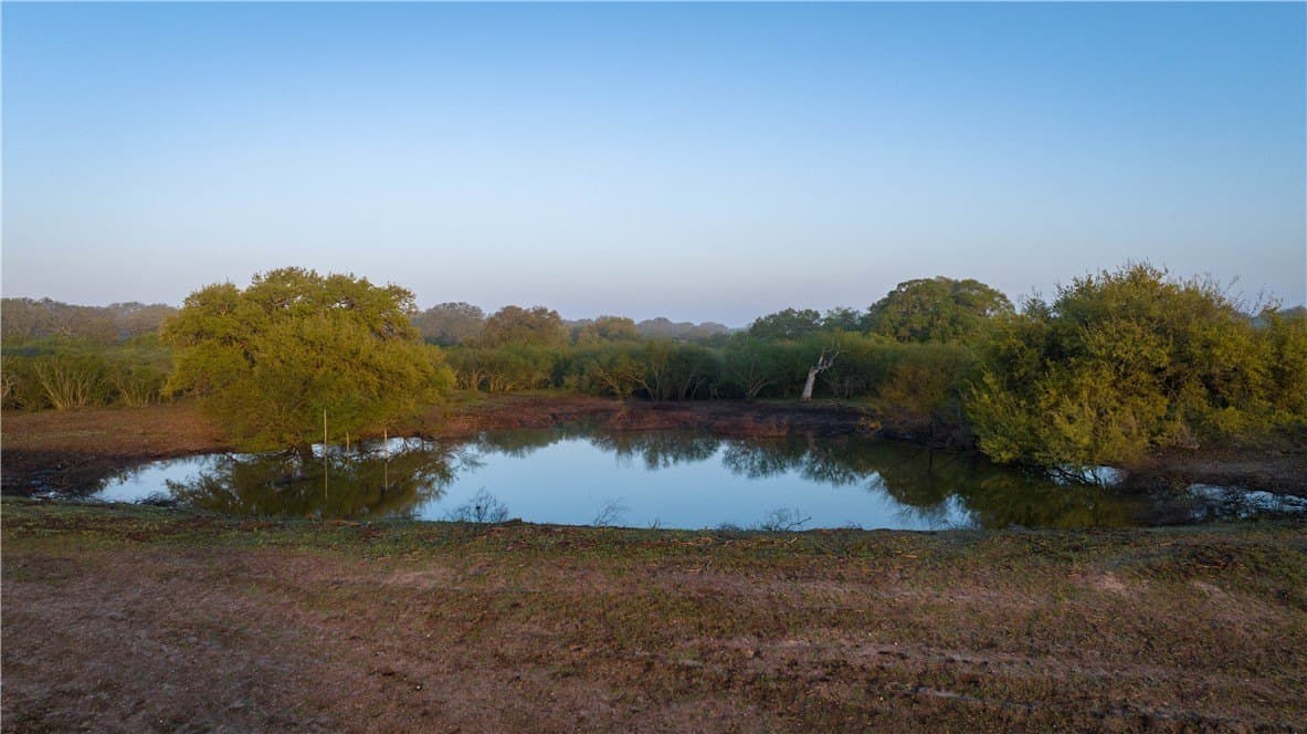 450 acres in Goliad County - photo 6