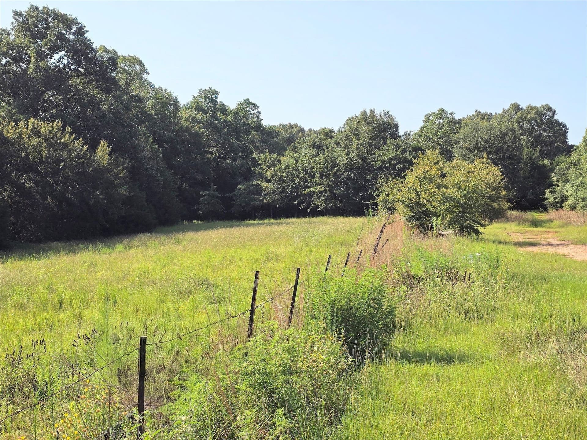 15.81 acres in Anderson County - photo 23
