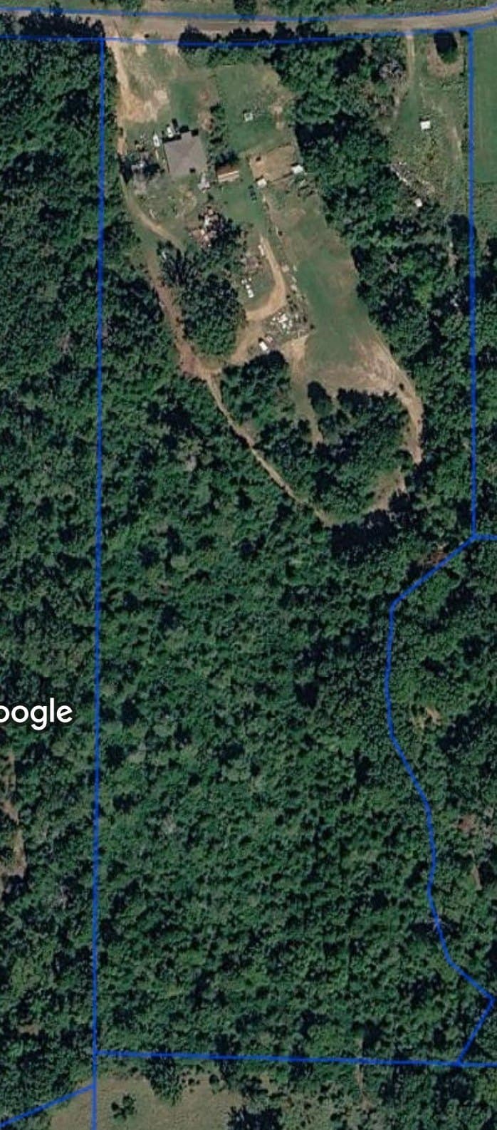 15.81 acres in Anderson County gallery image 4