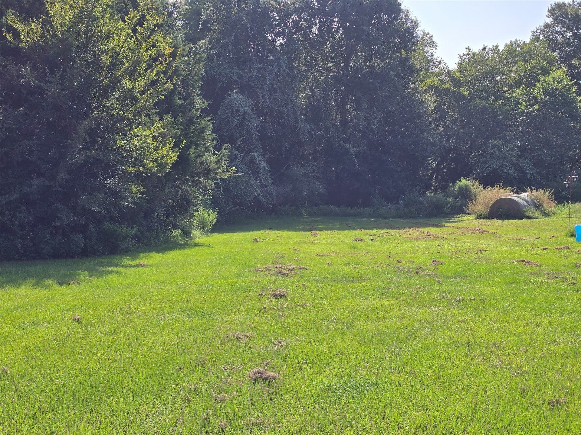 15.81 acres in Anderson County - photo 21