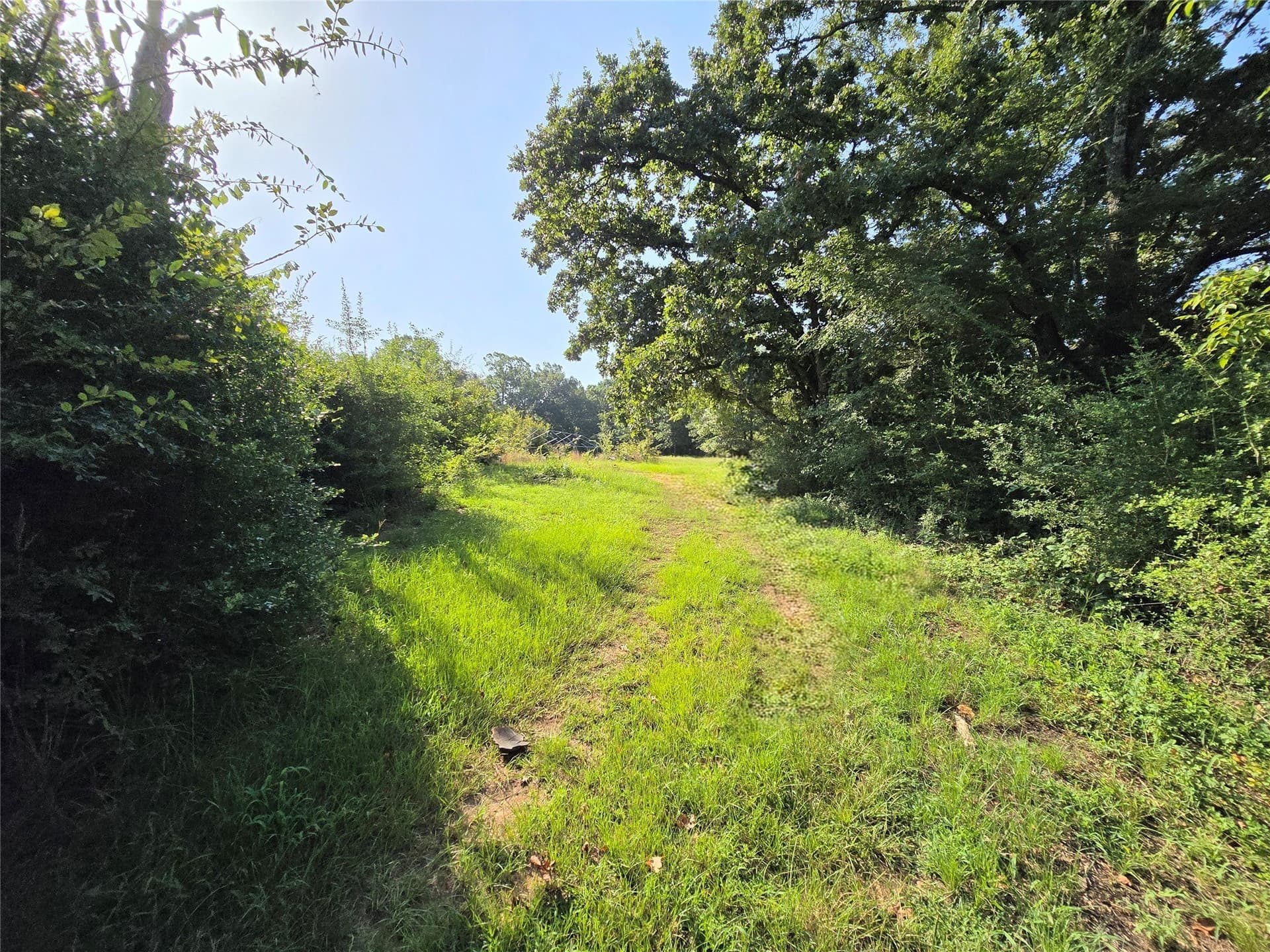 15.81 acres in Anderson County - photo 20