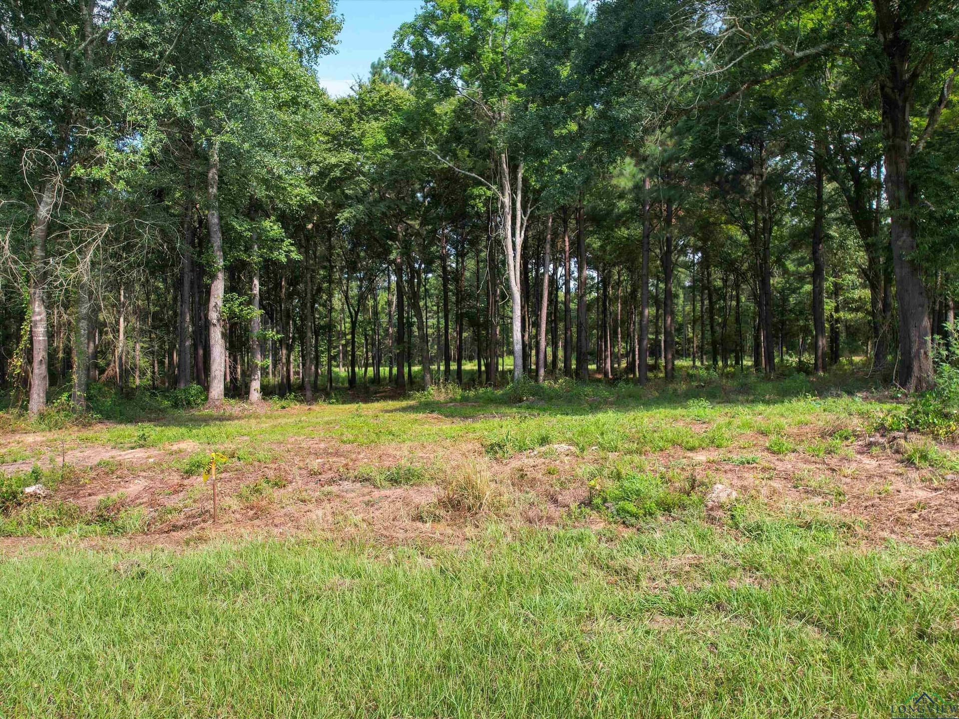 10 acres in Texas County gallery image 2