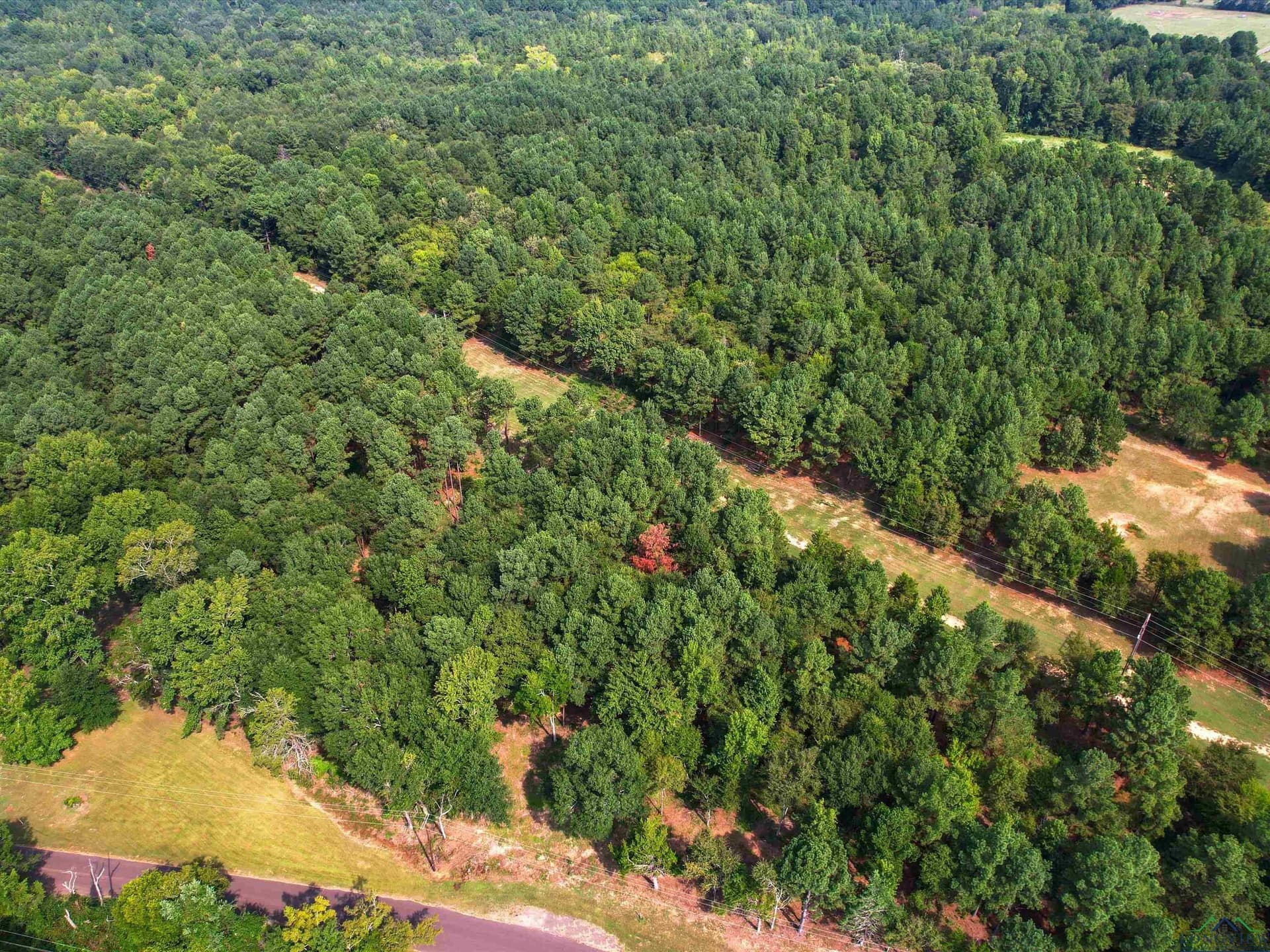 10 acres in Texas County featured view
