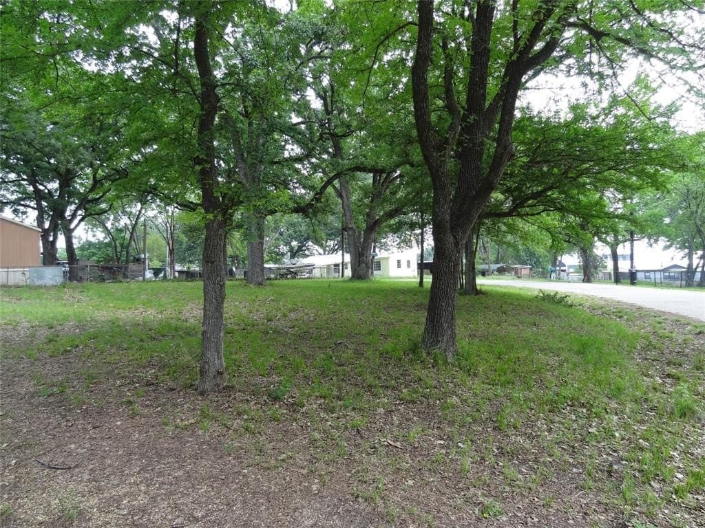 0.19 acres in Henderson County gallery image 2