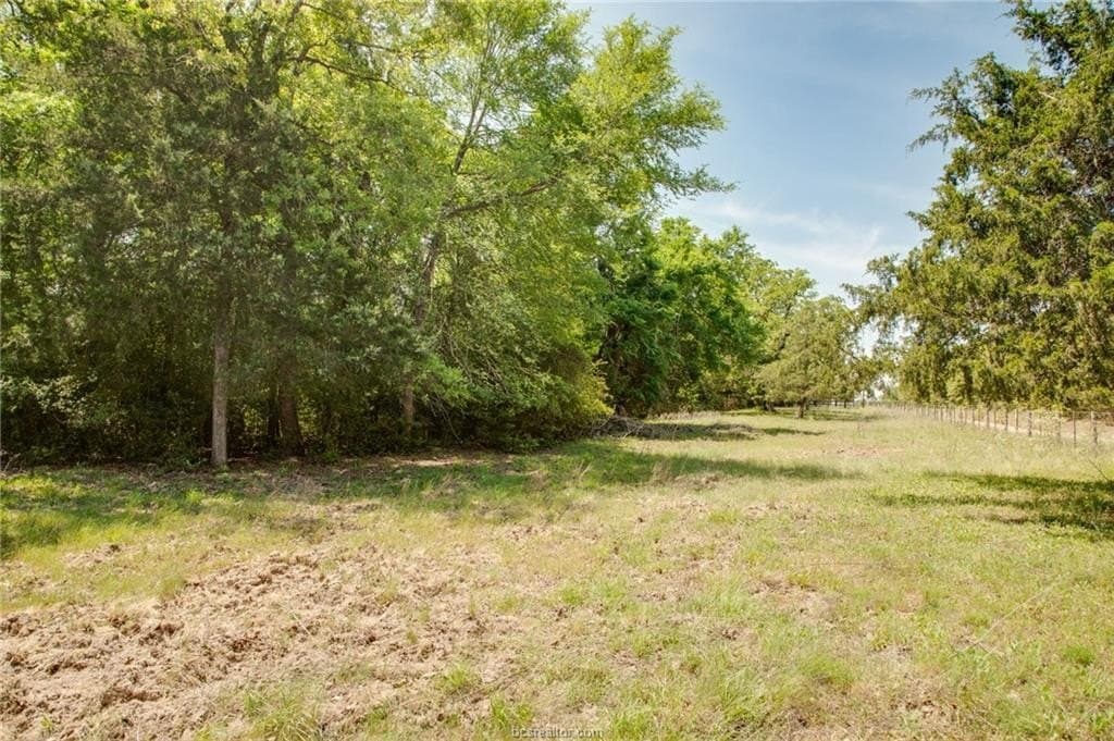 25 acres in Milam County - photo 22