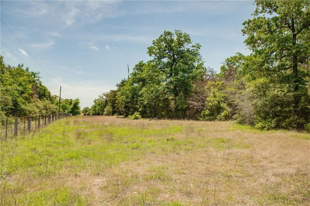 25 acres in Milam County featured view