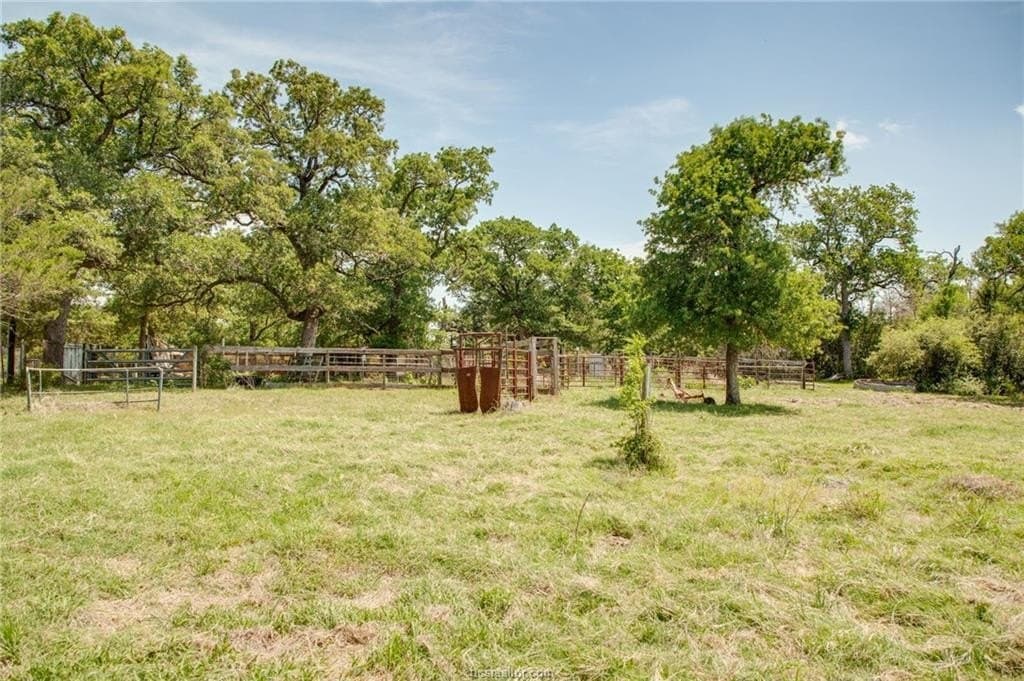 25 acres in Milam County gallery image 2