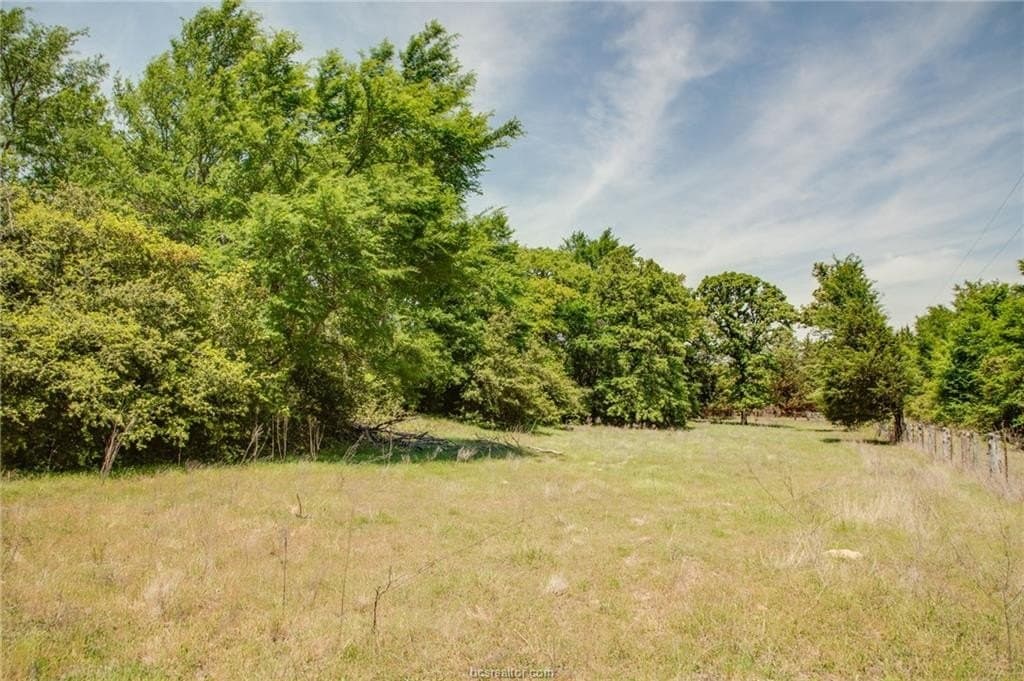 25 acres in Milam County - photo 21