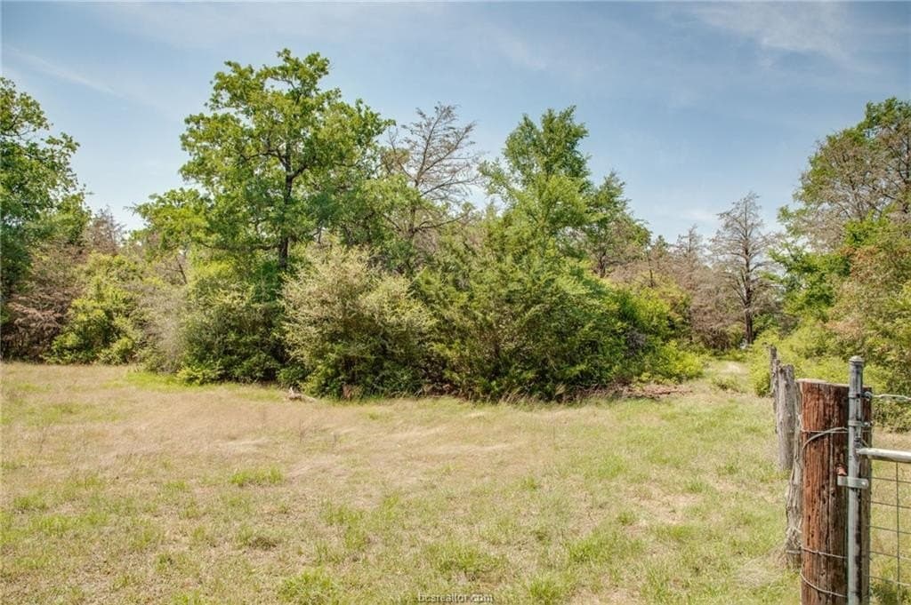 25 acres in Milam County - photo 20
