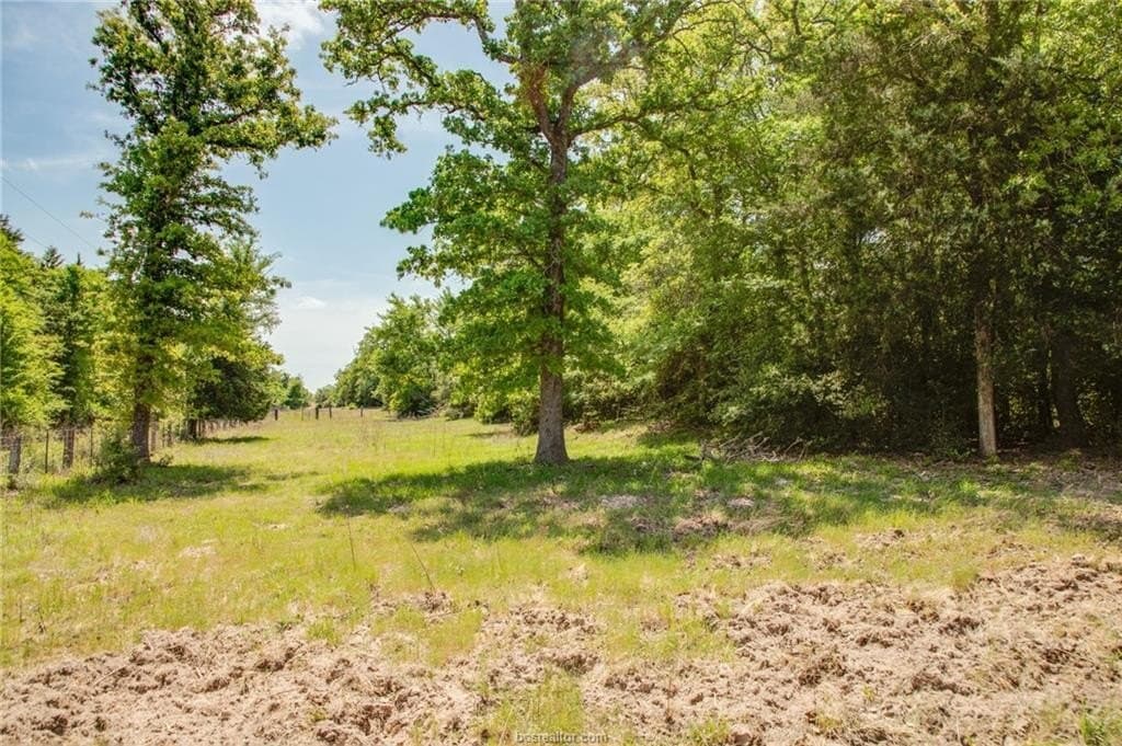 25 acres in Milam County - photo 23