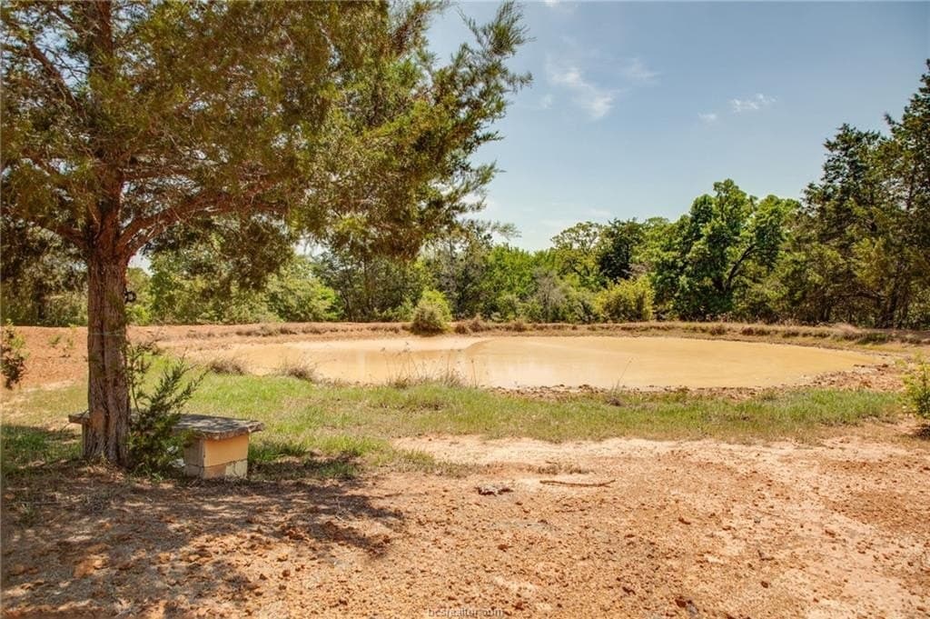25 acres in Milam County - photo 11
