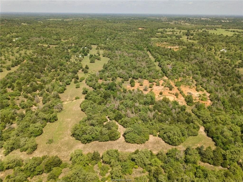 25 acres in Milam County - photo 29