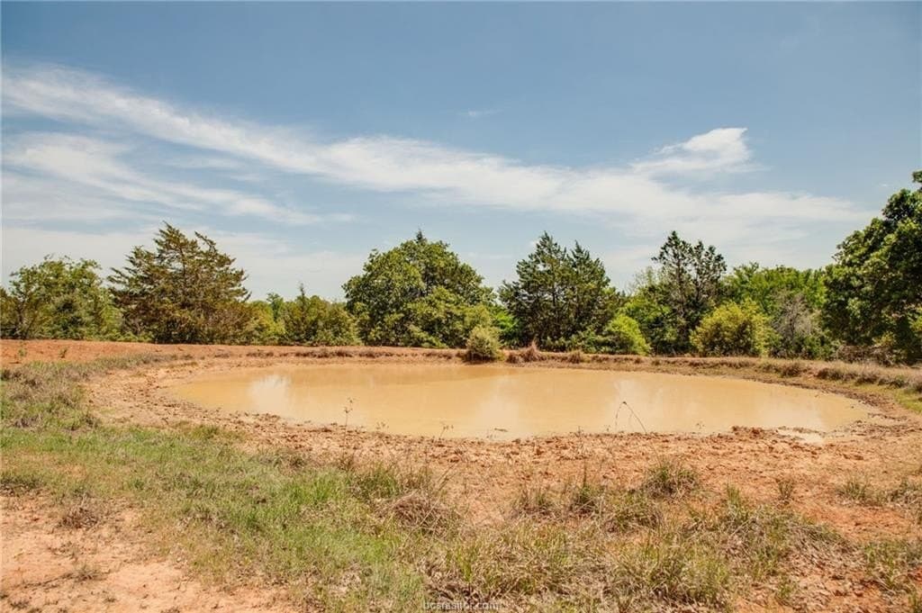 25 acres in Milam County - photo 12