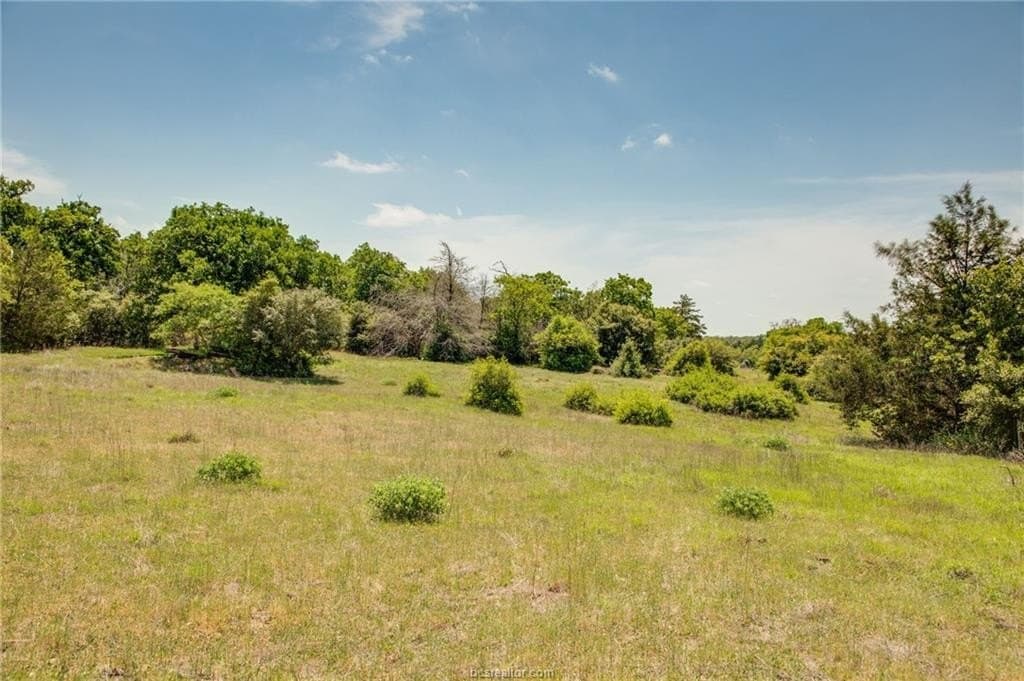 25 acres in Milam County - photo 24