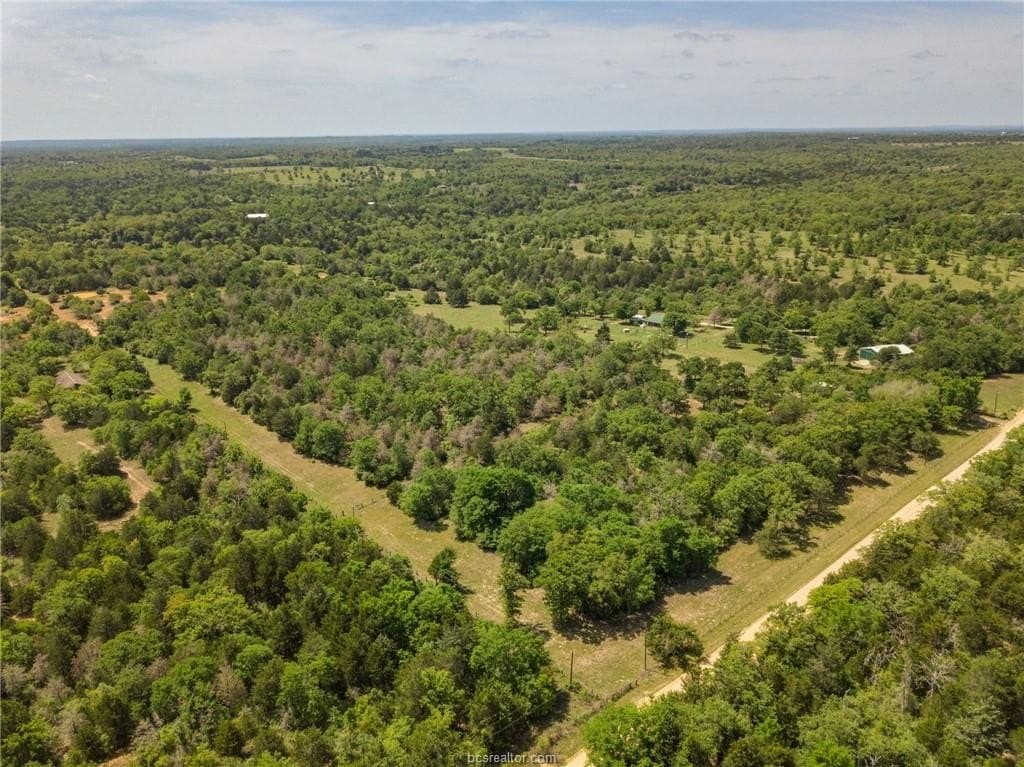 25 acres in Milam County - photo 27