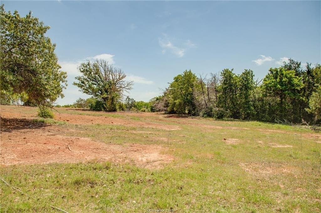 25 acres in Milam County - photo 18