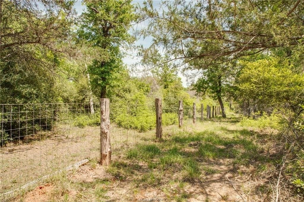 25 acres in Milam County gallery image 4