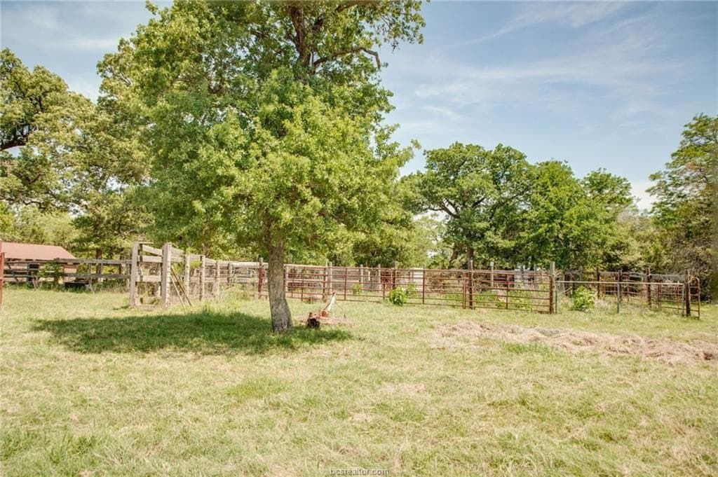 25 acres in Milam County gallery image 3