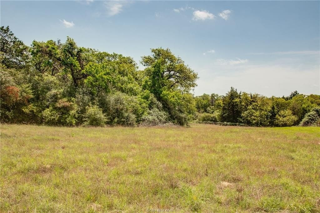 25 acres in Milam County - photo 16