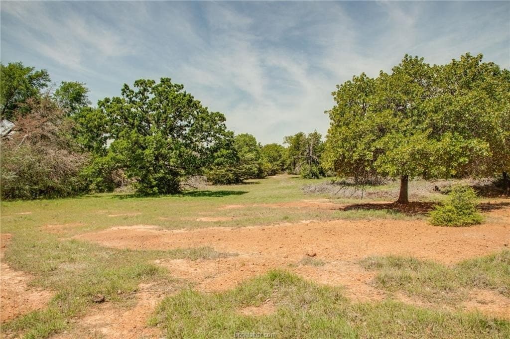 25 acres in Milam County - photo 17