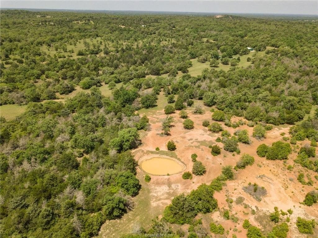 25 acres in Milam County - photo 13