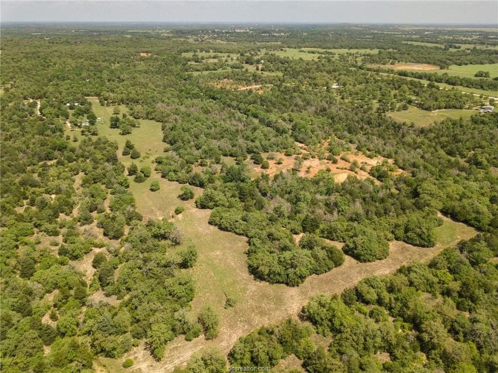 25 acres in Milam County - photo 30