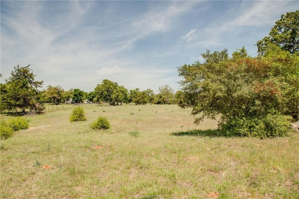 25 acres in Milam County - photo 19
