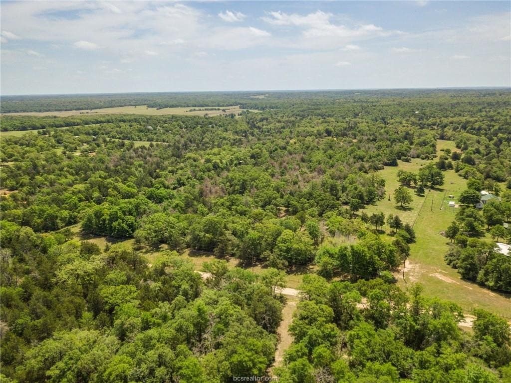 25 acres in Milam County - photo 25