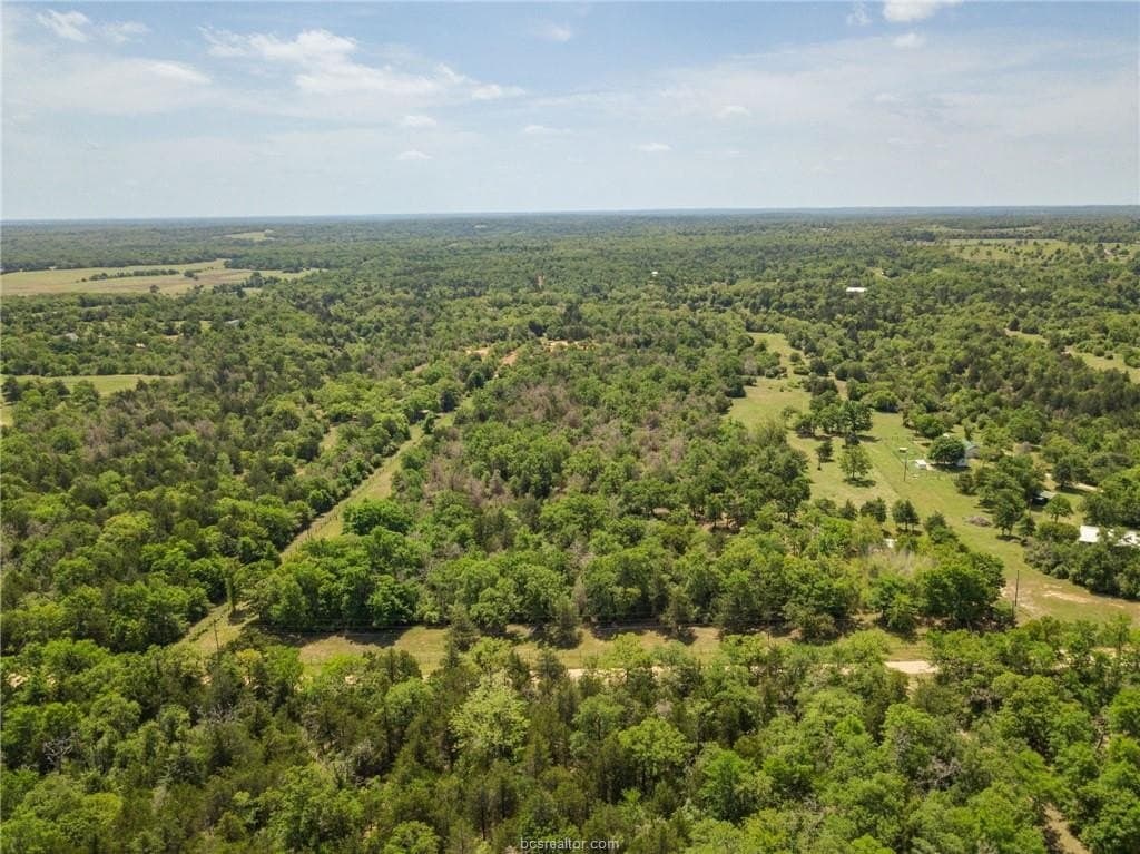 25 acres in Milam County - photo 14