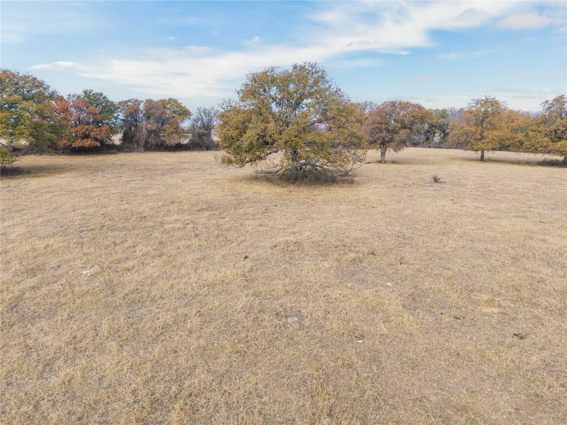 31.78 acres in Comanche County - photo 10