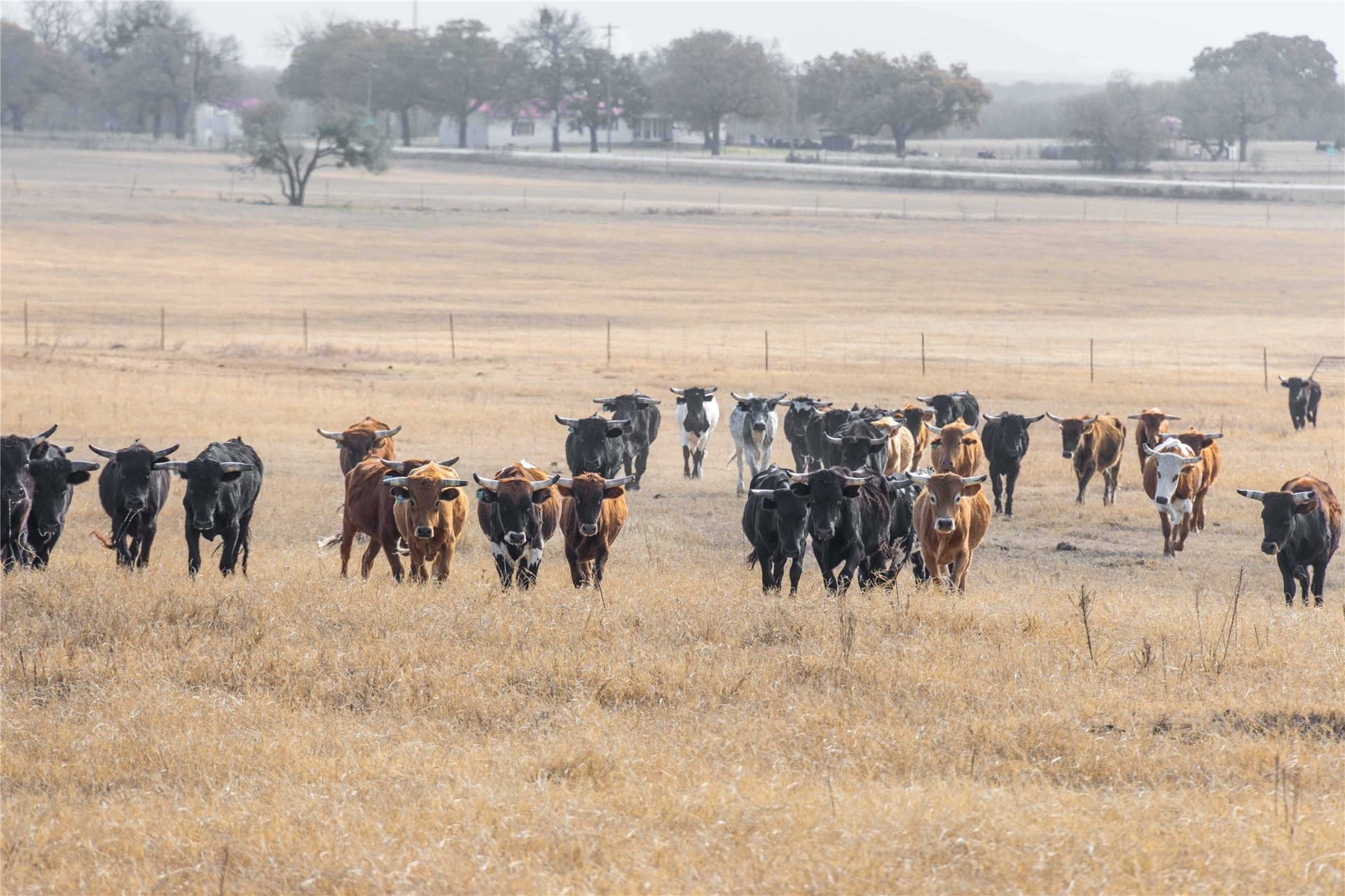 31.78 acres in Comanche County - photo 7