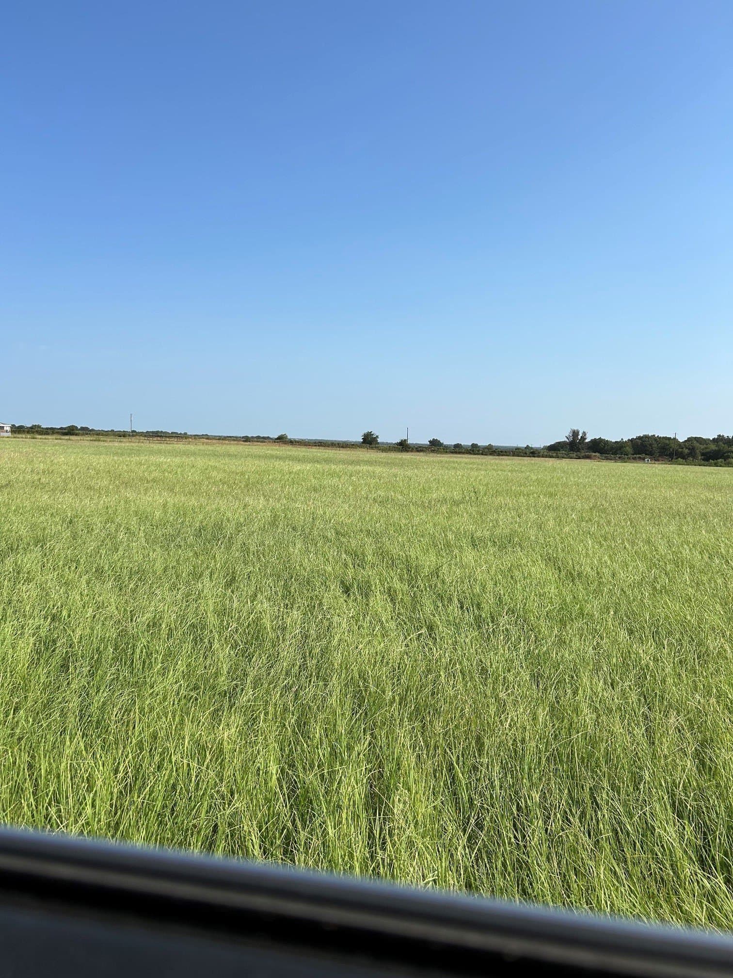 31.78 acres in Comanche County - photo 10