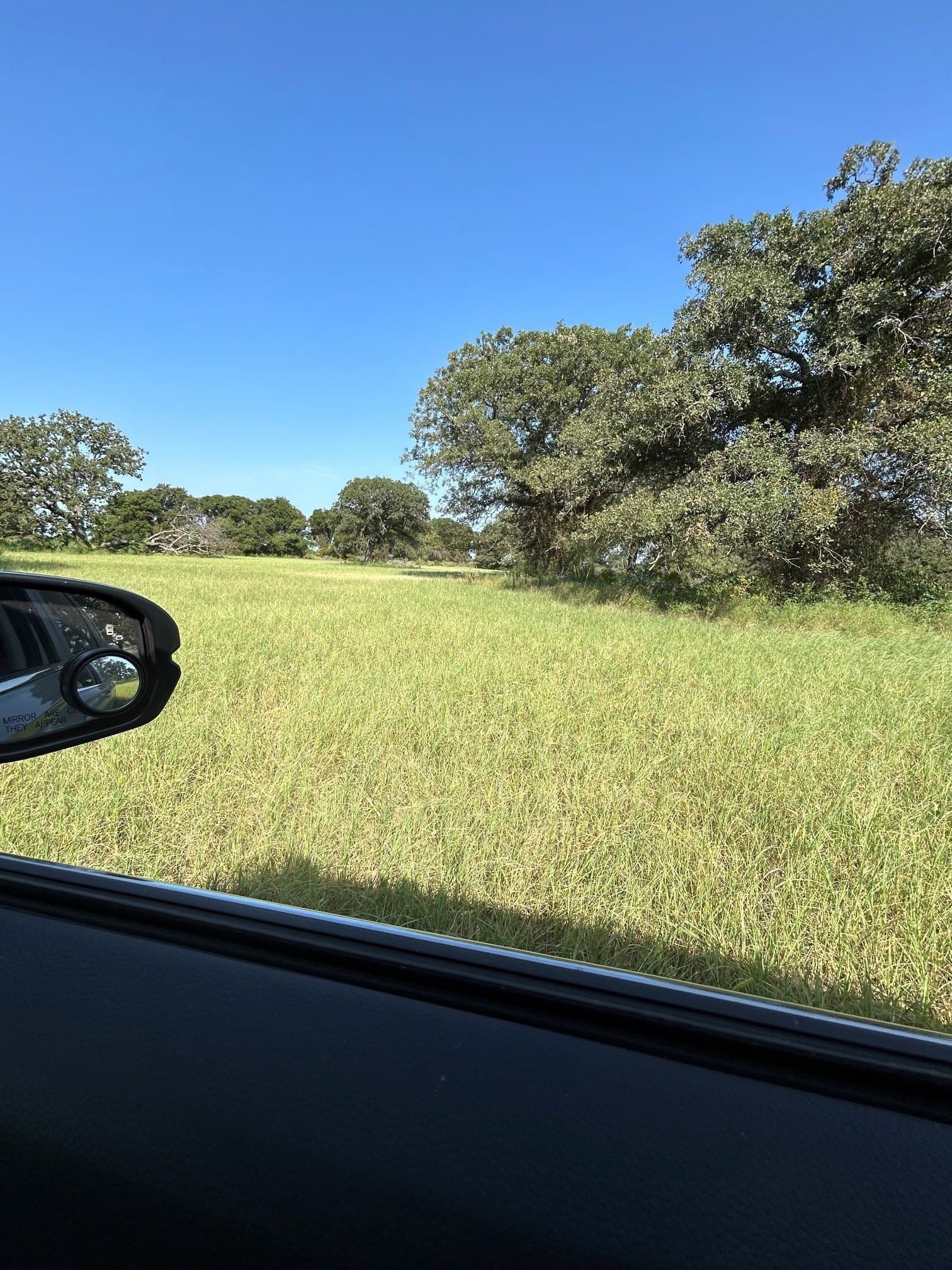 31.78 acres in Comanche County - photo 12