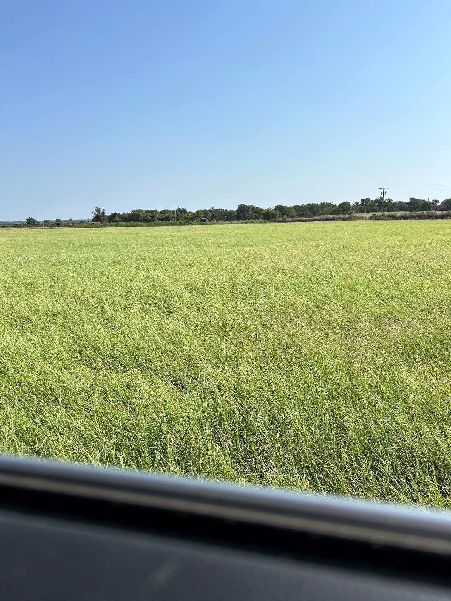 31.78 acres in Comanche County - photo 9
