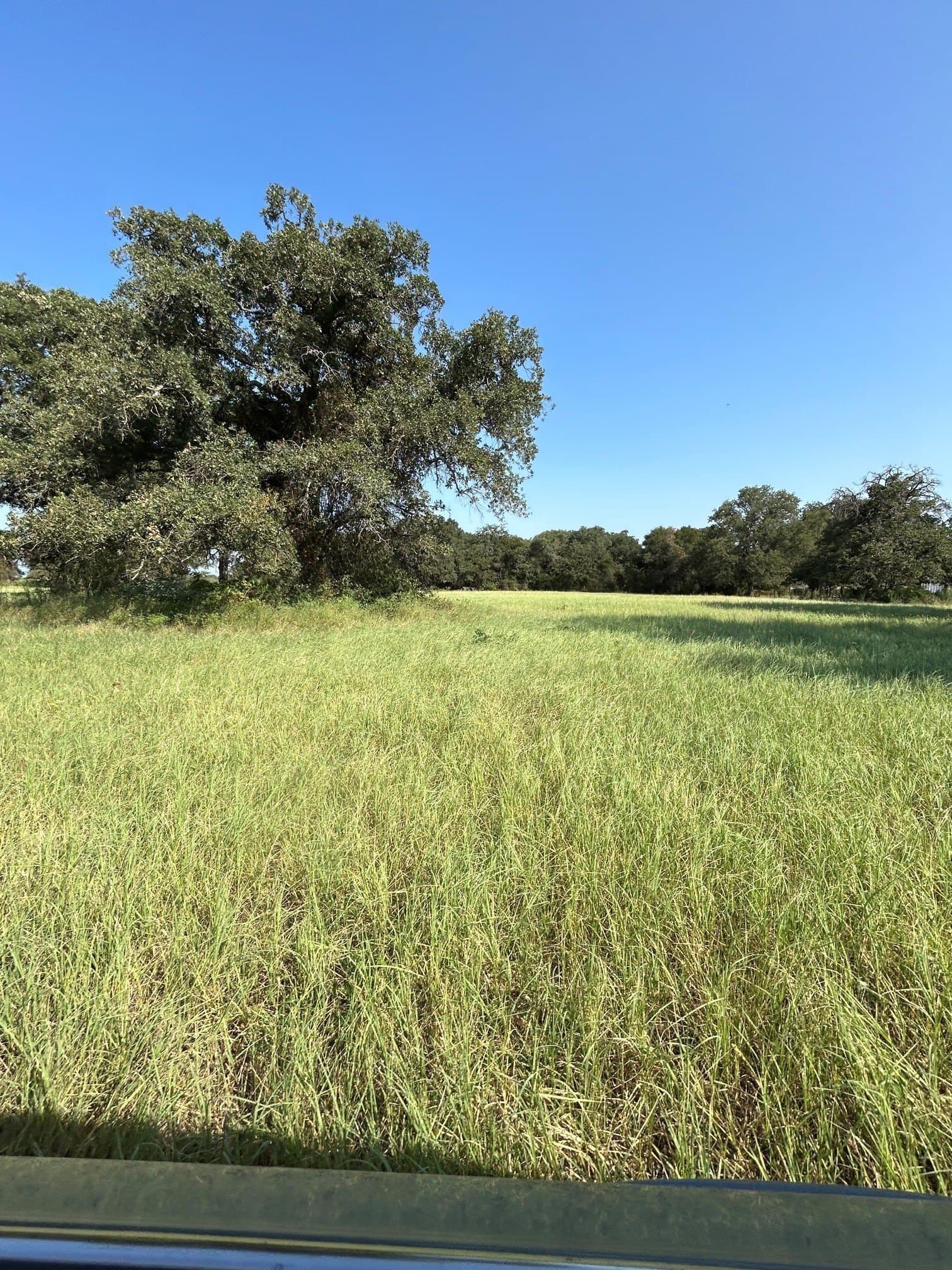 31.78 acres in Comanche County - photo 11