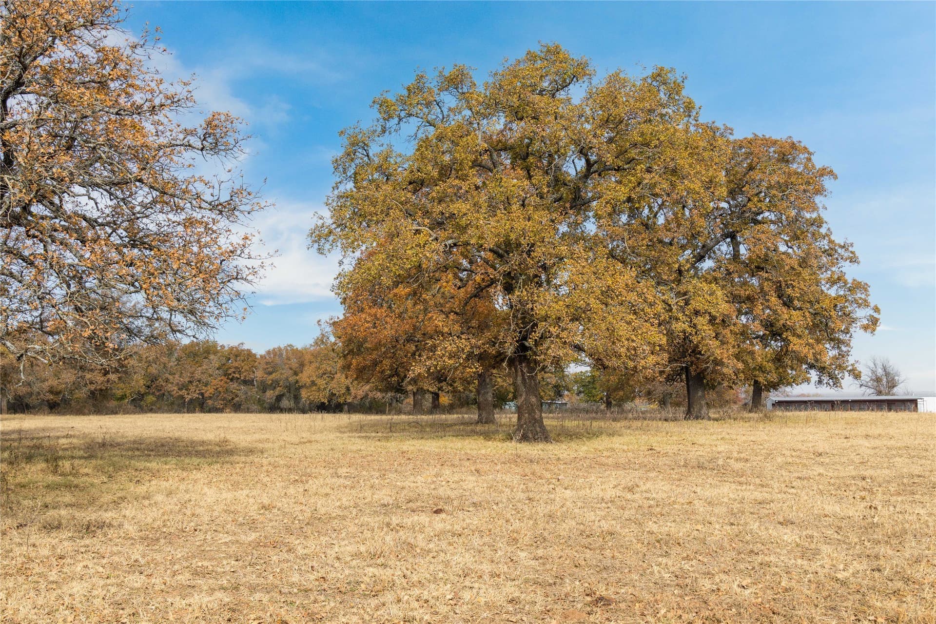 31.78 acres in Comanche County - photo 13
