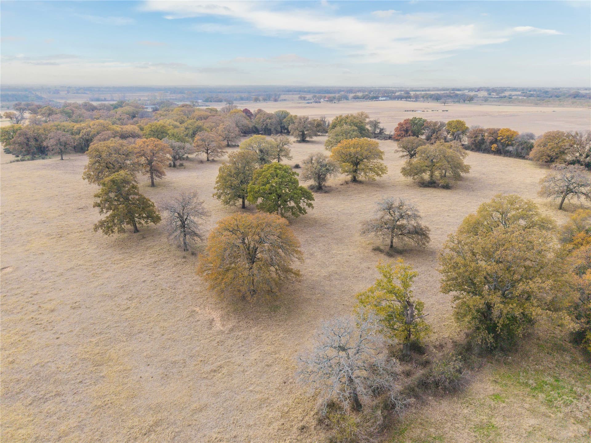 31.78 acres in Comanche County - photo 12