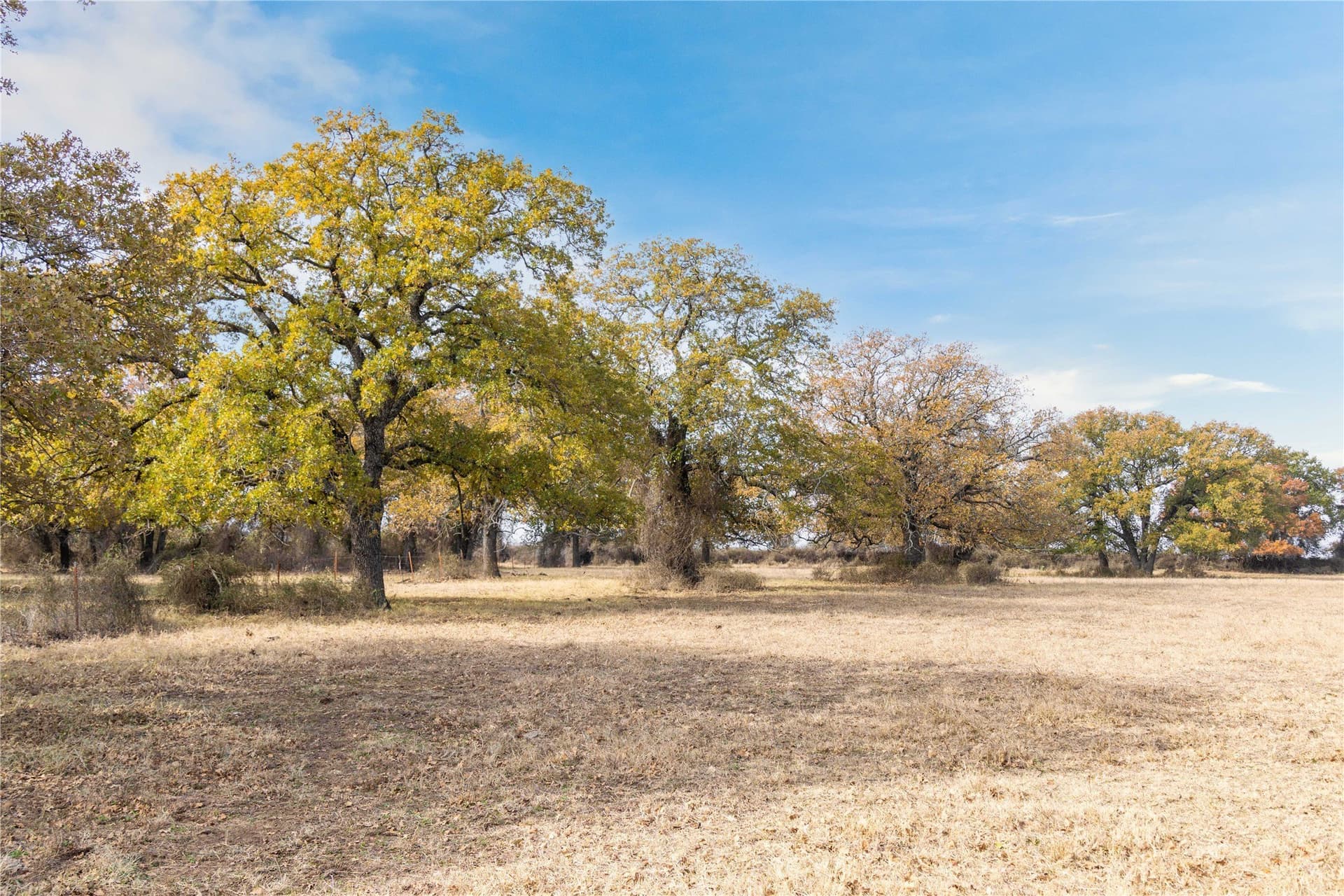 31.78 acres in Comanche County - photo 11