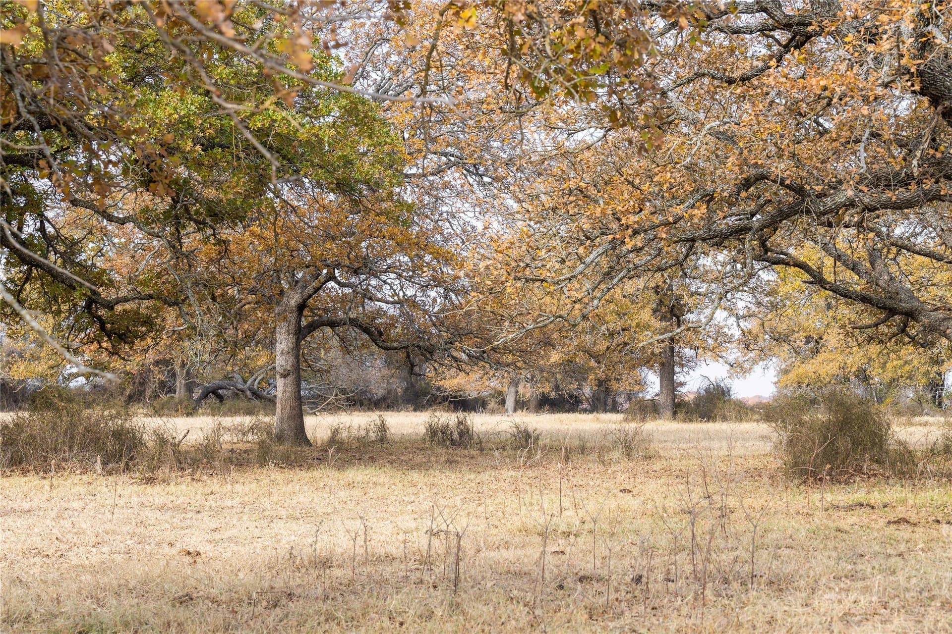 31.78 acres in Comanche County - photo 14
