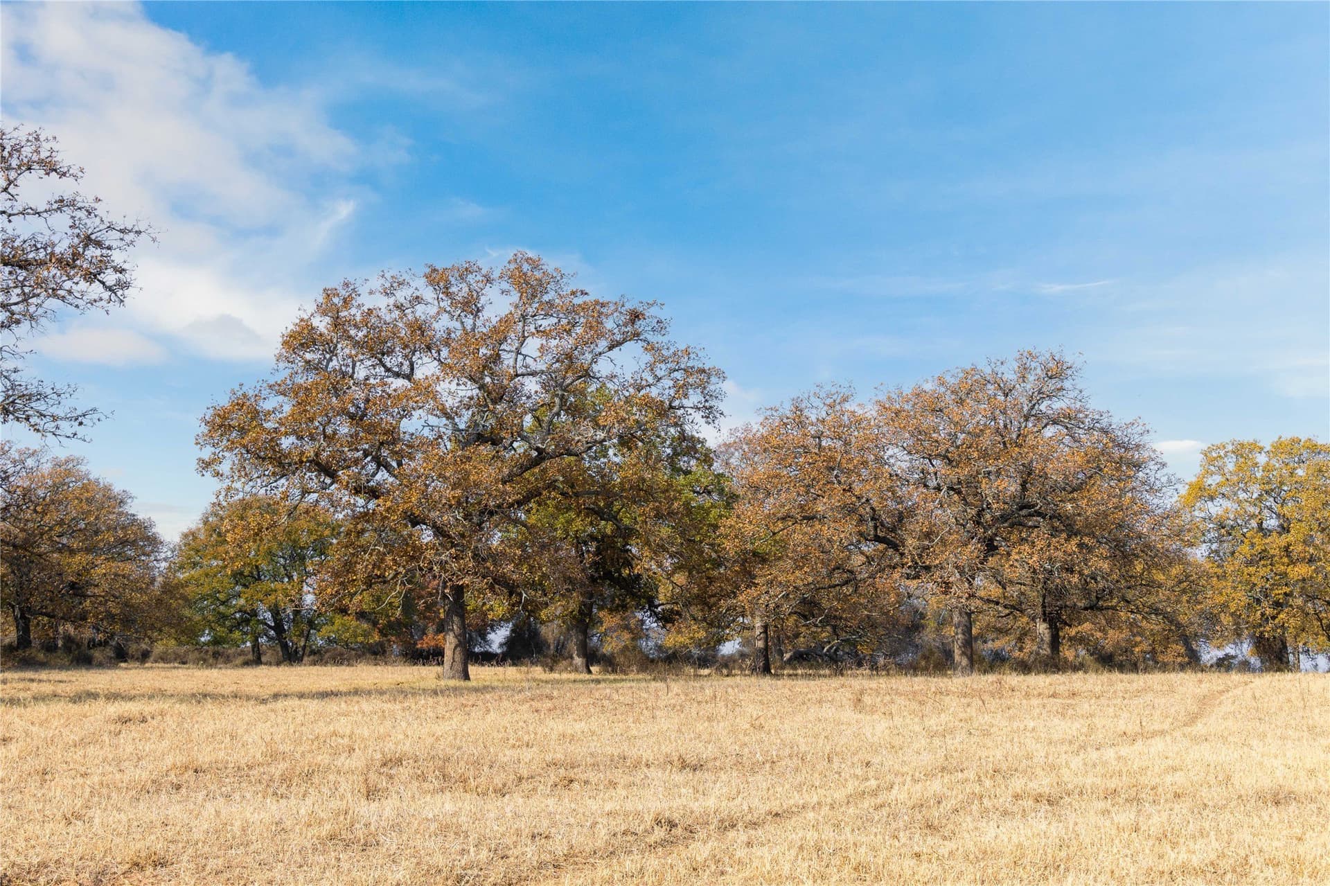 31.78 acres in Comanche County - photo 9