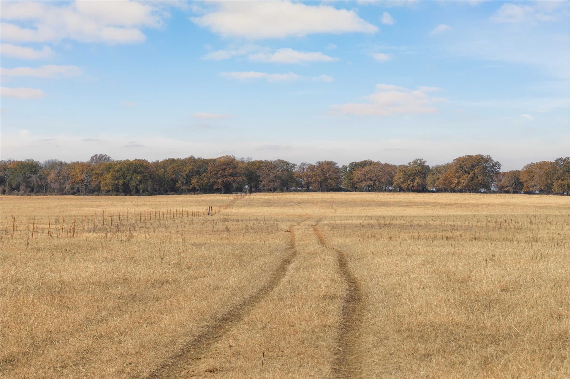 31.78 acres in Comanche County - photo 6