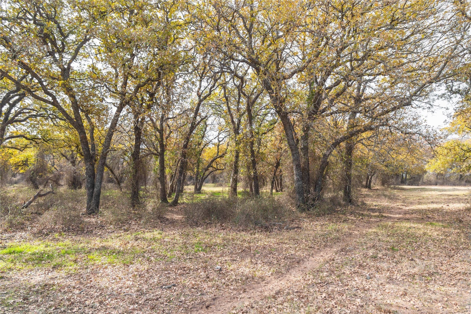 31.78 acres in Comanche County - photo 15
