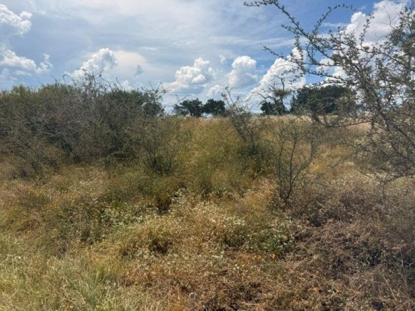 0.23 acres in Llano County featured view