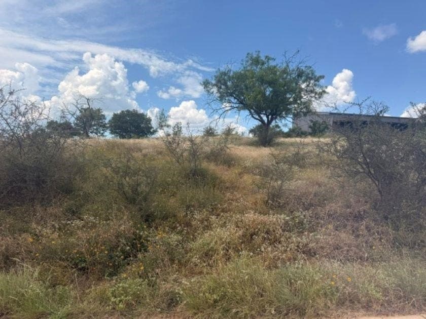 0.23 acres in Llano County - photo 6