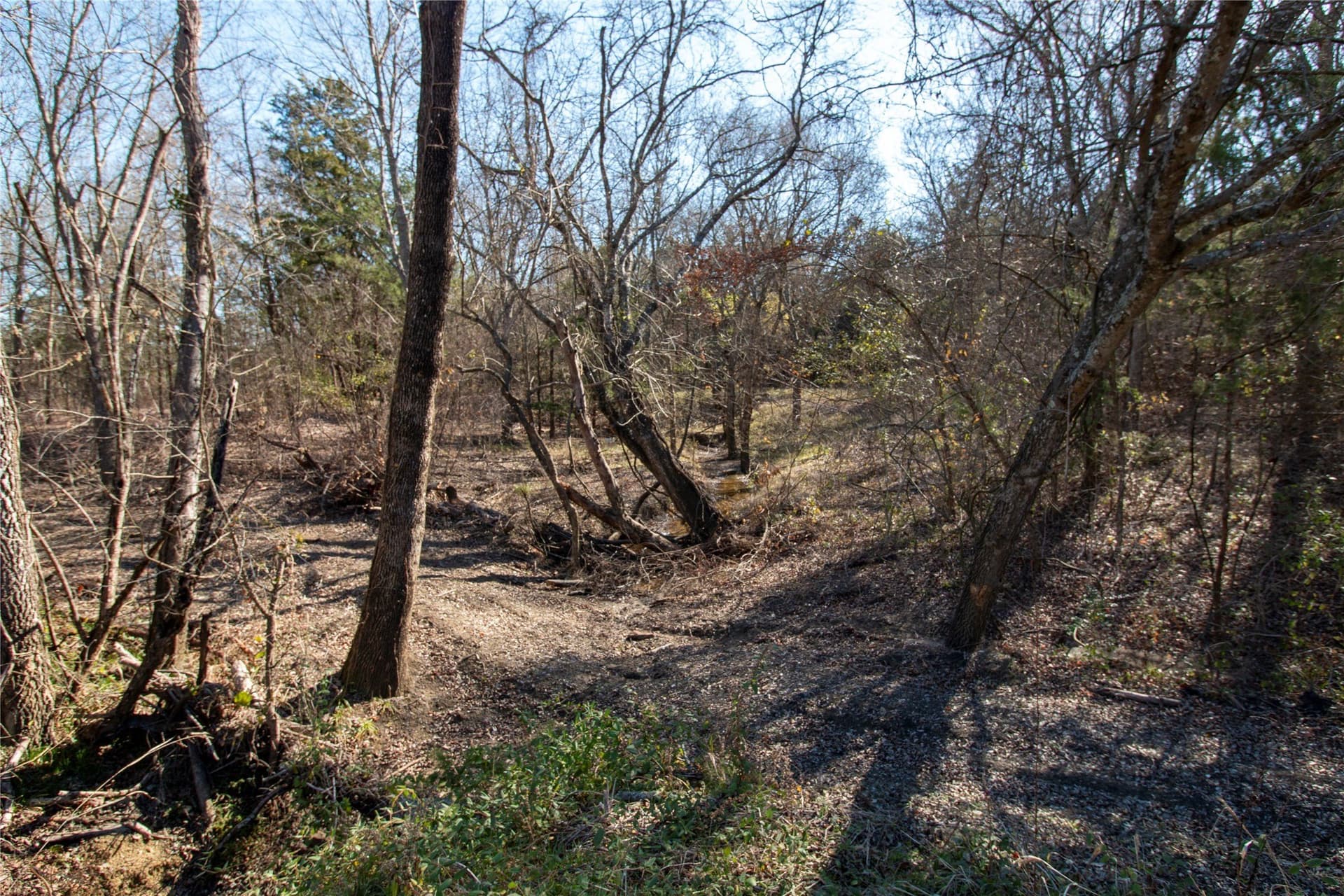 1.88 acres in Fannin County - photo 5