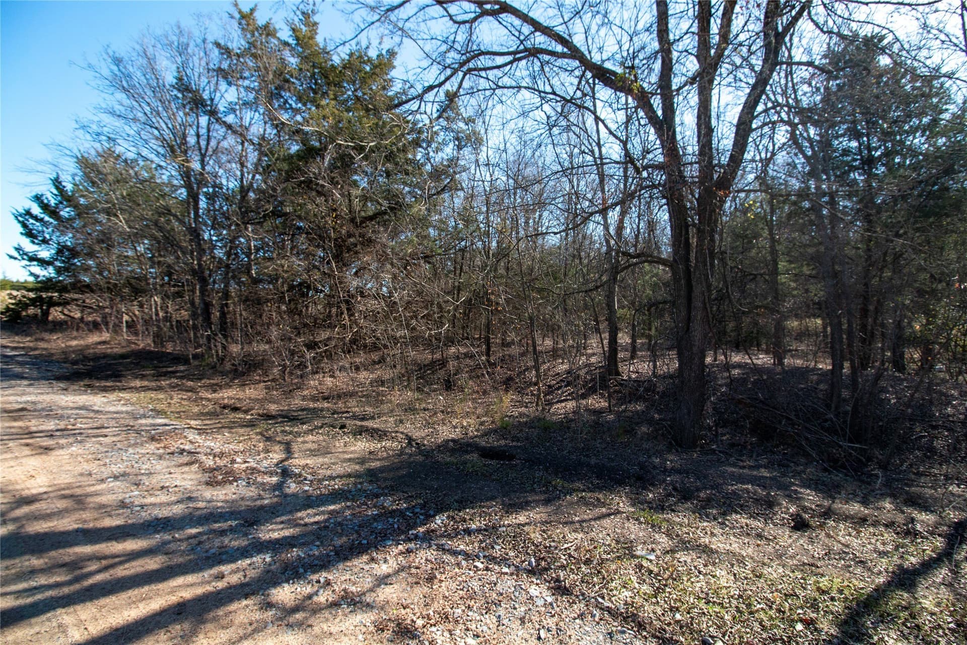 1.88 acres in Fannin County - photo 8