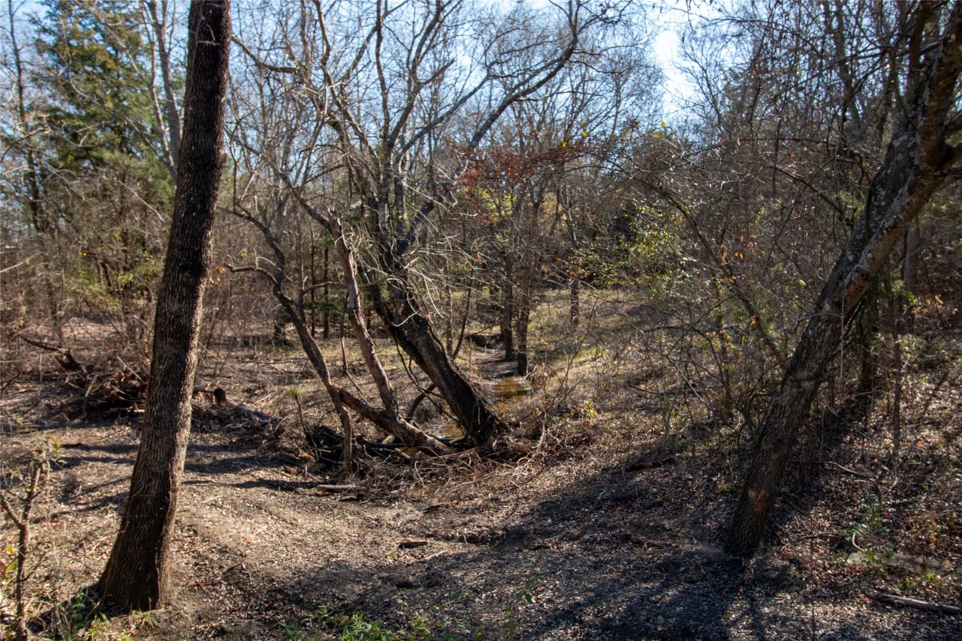 1.88 acres in Fannin County - photo 4
