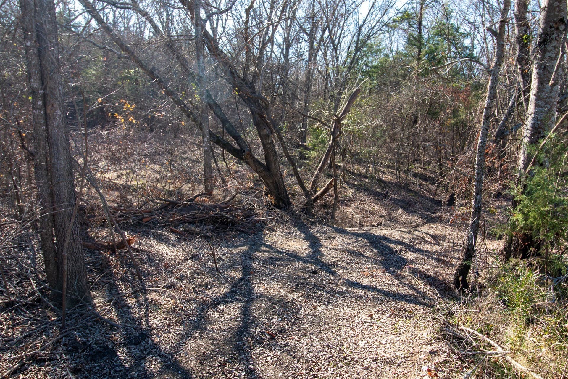 1.88 acres in Fannin County
